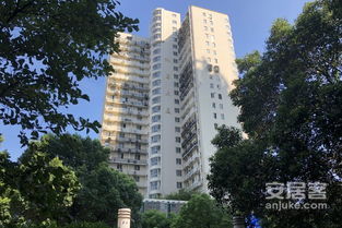 香山麗舍 公寓 優(yōu)點 不足,香山麗舍 公寓 怎么樣,香山麗舍 公寓 周邊房產(chǎn)中介經(jīng)紀(jì)人評價