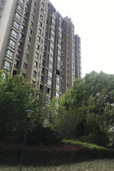 恒文星尚灣優(yōu)點 不足,恒文星尚灣怎么樣,恒文星尚灣周邊房產(chǎn)中介經(jīng)紀人評價